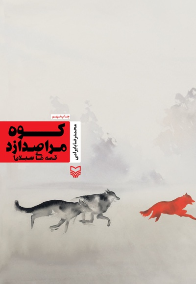 کوه مرا صدا زد